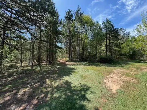 299 Flatrock Rd, Honea Path, SC 29654 photo 13