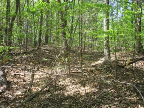 lot596 Laurel Dr, Westminster, SC 29693