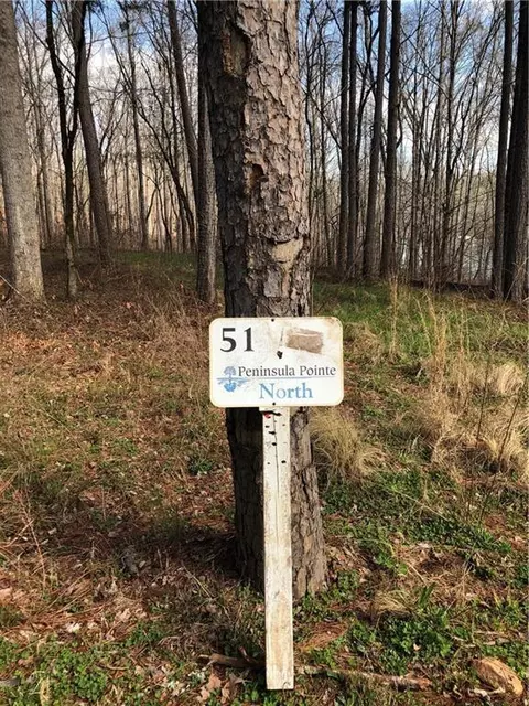 lot51 Peninsula Pt Northvista Pointe Dr, West Union, SC 29696