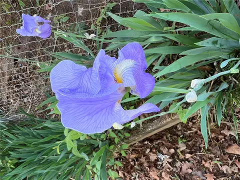 Other - 1739 Coffee Rd, Westminster, SC 29693 photo 5 of 9