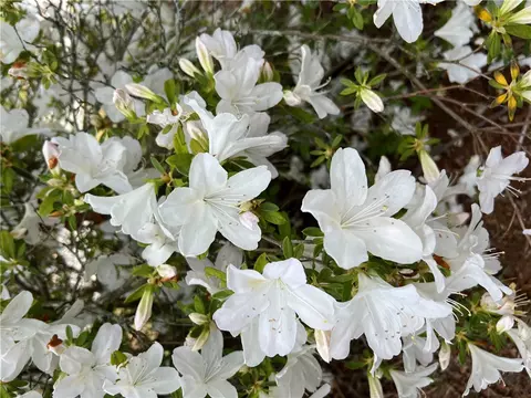 Other - 1739 Coffee Rd, Westminster, SC 29693 photo 7 of 9
