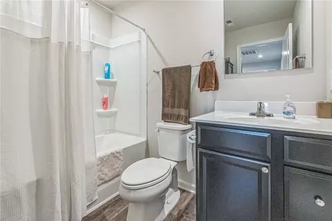 Bath - 154 Queens Mill Ct, Pendleton, SC 29670 photo 2 of 2