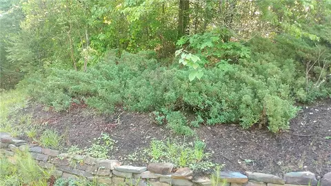 lot29 Lake Breeze Rd, Westminster, SC 29693