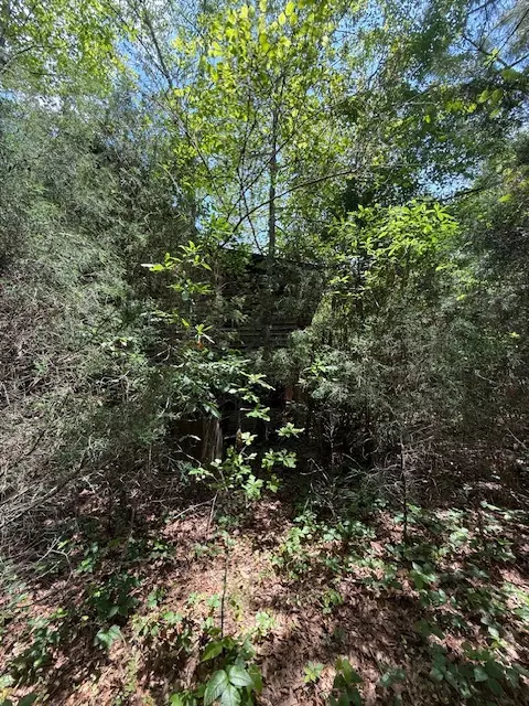 0 Hwy 198 Hwy, Carnesville, GA 30521 photo 16