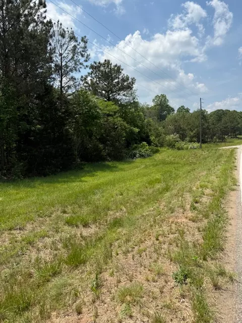 0 Hwy 198 Hwy, Carnesville, GA 30521 photo 20