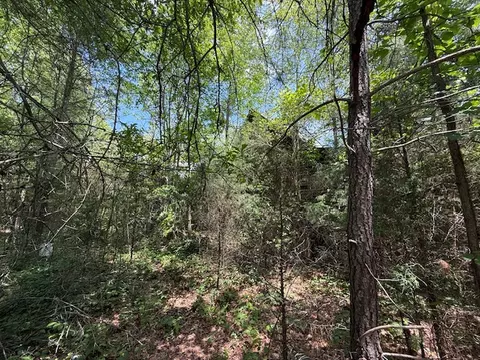 0 Hwy 198 Hwy, Carnesville, GA 30521 photo 15