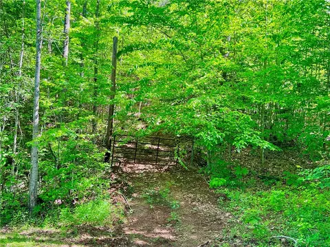 Tract Q The Bear Boulevard, Tamassee, SC 29686