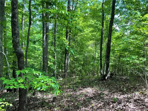 00 Anthony Rd, Pickens, SC 29671 photo 4
