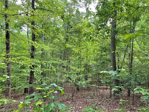 00 Anthony Rd, Pickens, SC 29671 photo 5