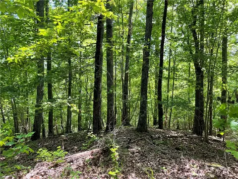 00 Anthony Rd, Pickens, SC 29671 photo 11