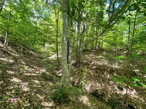 00 Anthony Rd, Pickens, SC 29671 photo 14