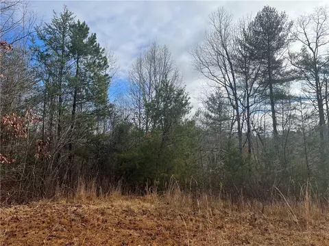 00 Davidian Way, Tamassee, SC 29686