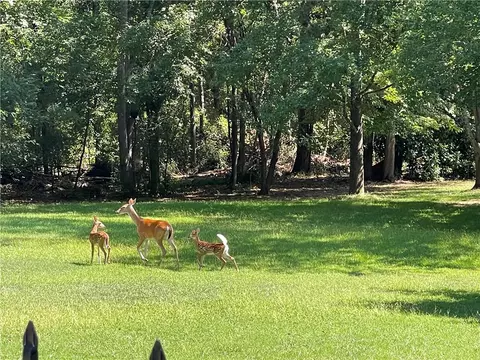 Other - 2905 Rambling Path, Anderson, SC 29621 photo 3 of 12