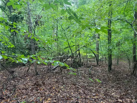0 Lake Forest Dr, Abbeville, SC 29620