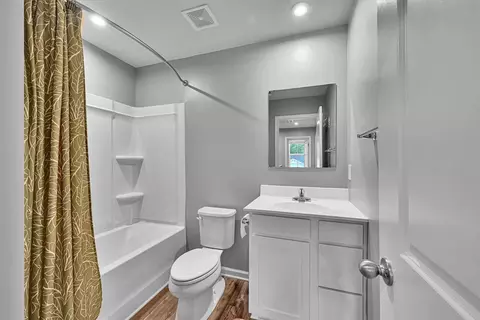 Bath - 145 Queens Mill Ct, Pendleton, SC 29670 photo 3 of 3