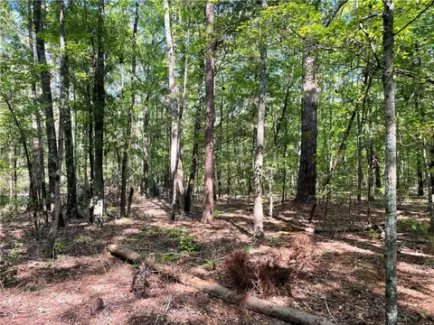 00 Clatworthy Rd, Honea Path, SC 29654 photo 23