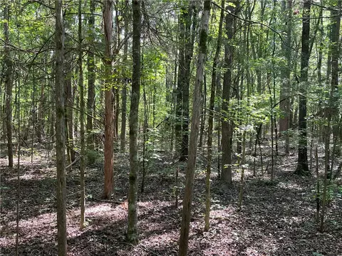 00 Clatworthy Rd, Honea Path, SC 29654 photo 8