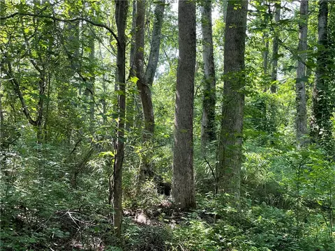 00 Clatworthy Rd, Honea Path, SC 29654 photo 5