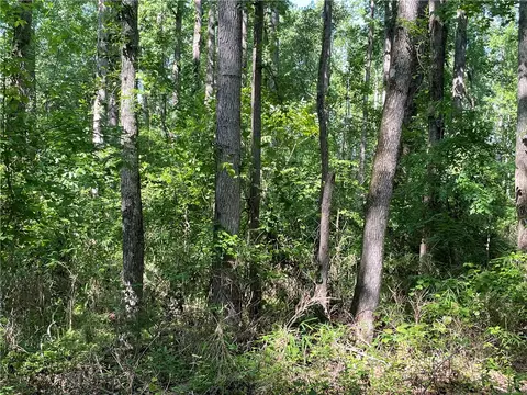 00 Clatworthy Rd, Honea Path, SC 29654 photo 19
