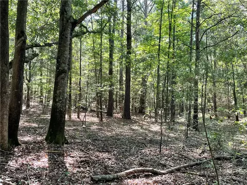 00 Clatworthy Rd, Honea Path, SC 29654 photo 20