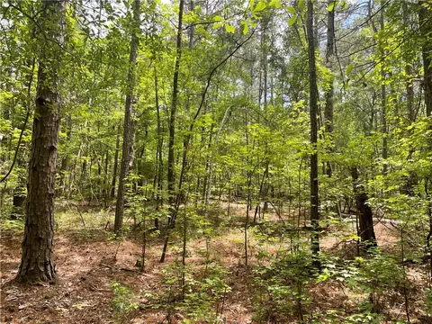 00 Clatworthy Rd, Honea Path, SC 29654 photo 10