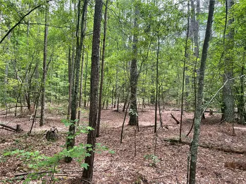 00 Clatworthy Rd, Honea Path, SC 29654 photo 3
