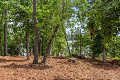 lot10 The Oaks Augusta Pt, Seneca, SC 29672 photo 12