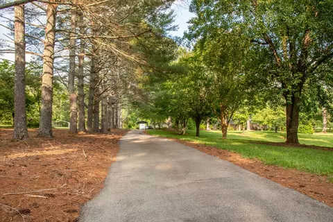 316 Brewer Rd, Walhalla, SC 29691 photo 3