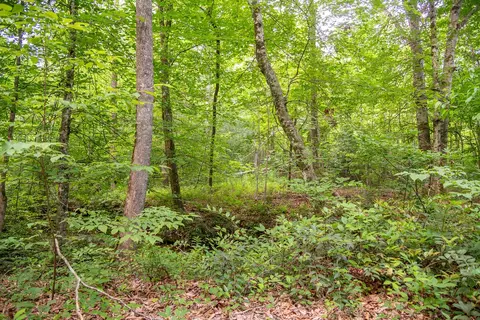 316 Brewer Rd, Walhalla, SC 29691 photo 34