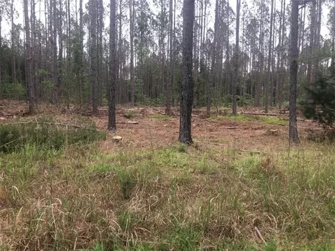0 Mike Mcconnell Ave, Iva, SC 29655