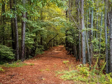 Other - 190 Edward Ln, Walhalla, SC 29691 photo 16 of 19