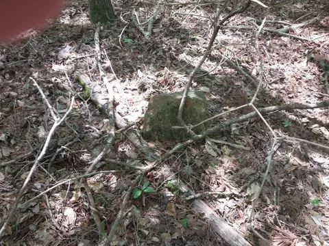 846 Latimer Mill Rd, Honea Path, SC 29654 photo 10