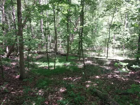 846 Latimer Mill Rd, Honea Path, SC 29654 photo 15