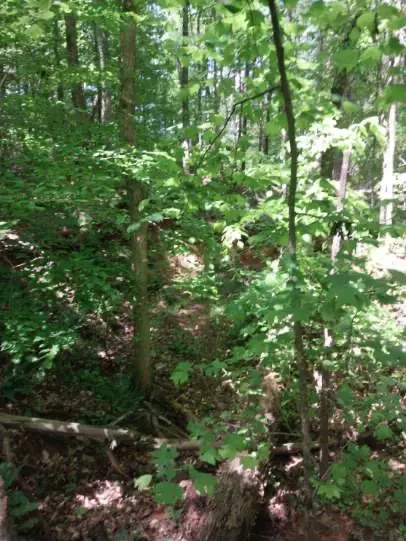 846 Latimer Mill Rd, Honea Path, SC 29654 photo 16
