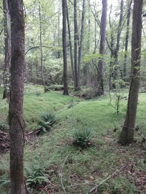846 Latimer Mill Rd, Honea Path, SC 29654 photo 13