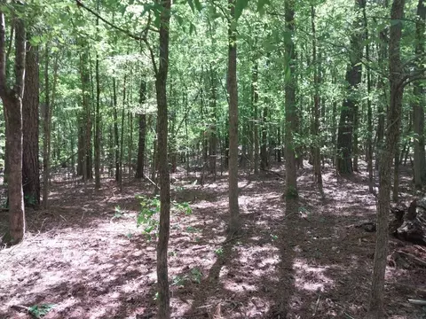 846 Latimer Mill Rd, Honea Path, SC 29654 photo 14