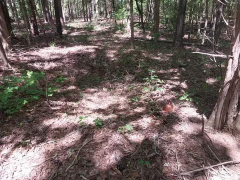 846 Latimer Mill Rd, Honea Path, SC 29654 photo 9