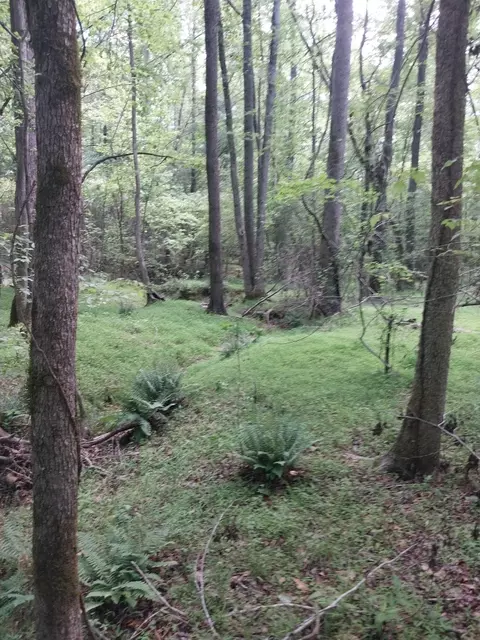 846 Latimer Mill Rd, Honea Path, SC 29654 photo 13