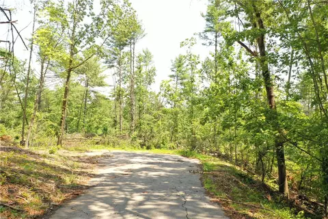 113 Sweetshrub Ct, Sunset, SC 29685