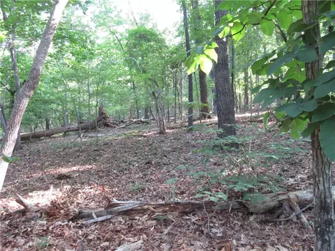00 Murphy Rd, Sunset, SC 29685 photo 5