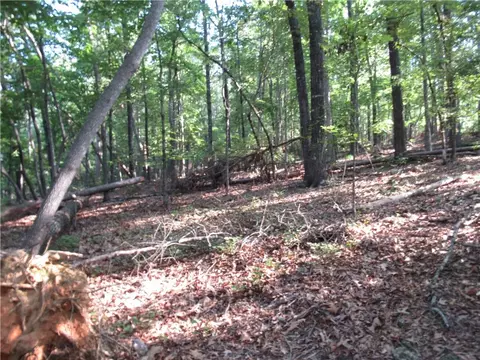 00 Murphy Rd, Sunset, SC 29685 photo 9