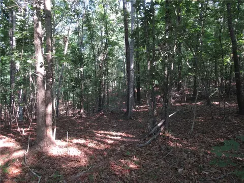 00 Murphy Rd, Sunset, SC 29685 photo 16