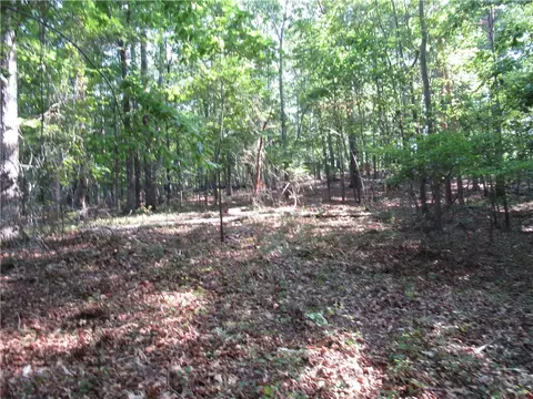 00 Murphy Rd, Sunset, SC 29685 photo 18