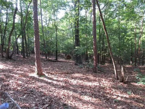 00 Murphy Rd, Sunset, SC 29685 photo 8