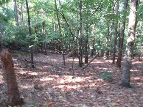 00 Murphy Rd, Sunset, SC 29685 photo 10