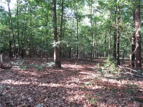 00 Murphy Rd, Sunset, SC 29685 photo 7