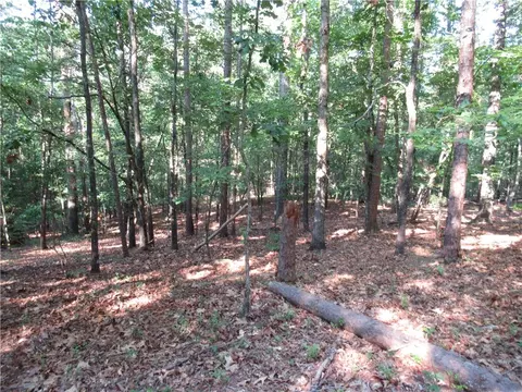 00 Murphy Rd, Sunset, SC 29685 photo 12
