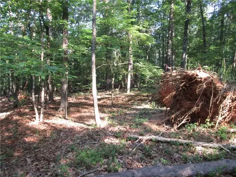 00 Murphy Rd, Sunset, SC 29685 photo 11