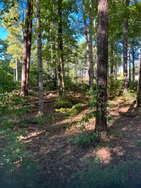 216 Harbor Point Rd, Seneca, SC 29672 photo 2