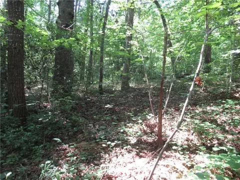 00 Gauley Falls Rd, Pickens, SC 29671